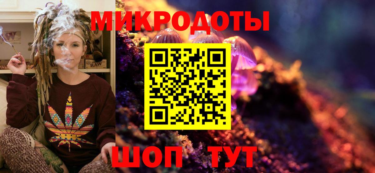 Галлюциногенные грибы Psilocybe  Вход с VPN  Карачаевск 